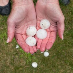 How To Handle A Hail Claim Image for How To Handle A Hail Claim post