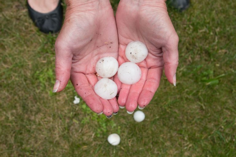 Image for How To Handle A Hail Claim post